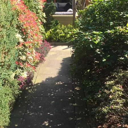 בית הארחה Cozy In Residential - Free Parking